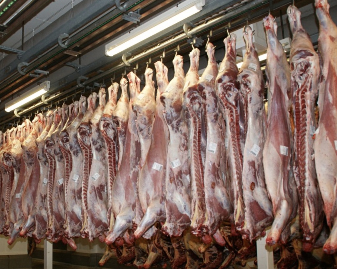 Россия с момента получения разрешения на экспорт свинины в Китай по 5 марта поставила туда 47,6 тыс. т свиноводческой продукции, пишет «Агроэксперт» со ссылкой…