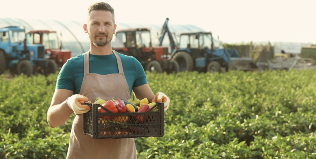 Производство сельхозпродукции в фермерских хозяйствах по итогам 2024 года снизилось на 5,1%