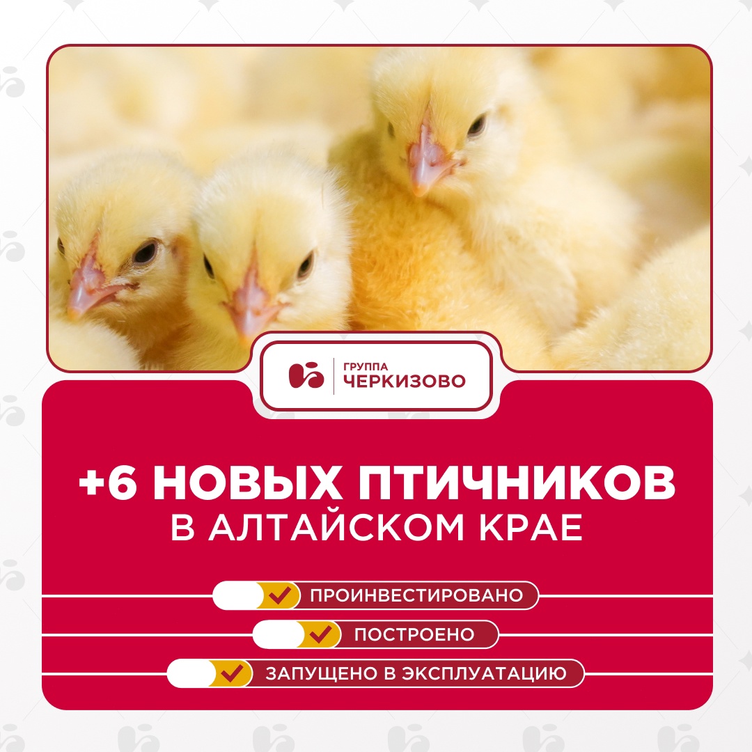 Хорошие новости! Наш птицеводческий кластер в Алтайском крае продолжает расти и расширяться.