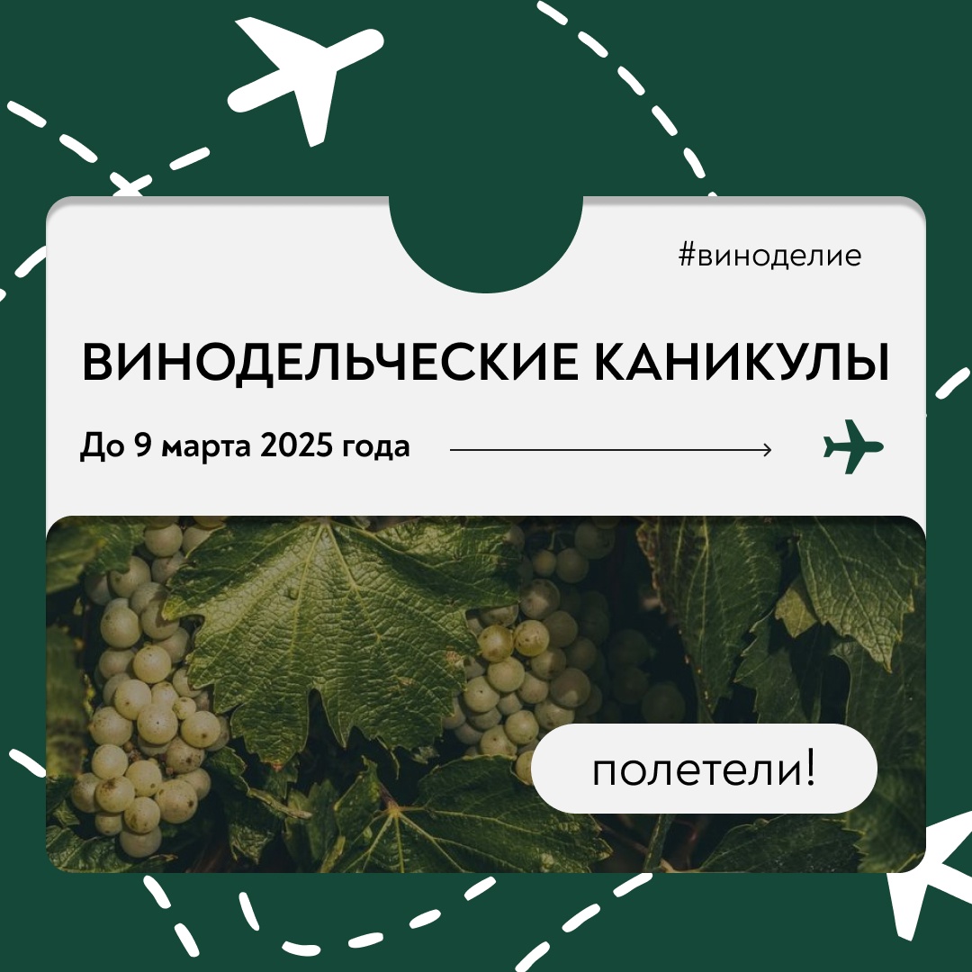 Летим изучать российское? На этой неделе на рейсах Аэрофлота проходят «Винодельческие каникулы»!