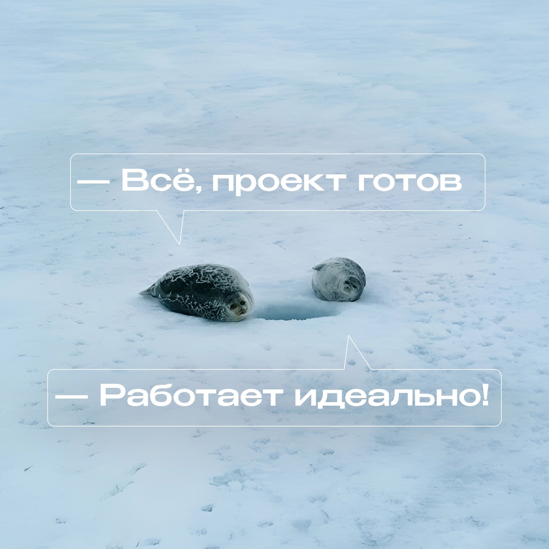 Акиба — так иногда называют этих маленьких тюленей. Обитают они преимущественно в водах арктических морей, и лед для них — родной дом