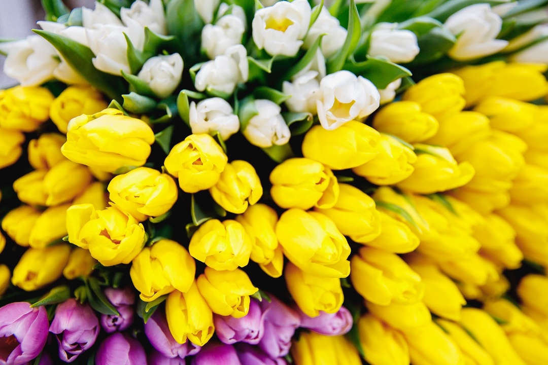 Приятные сюрпризы с самого утра Сегодня начинаем рабочий день с подарков и поздравлений