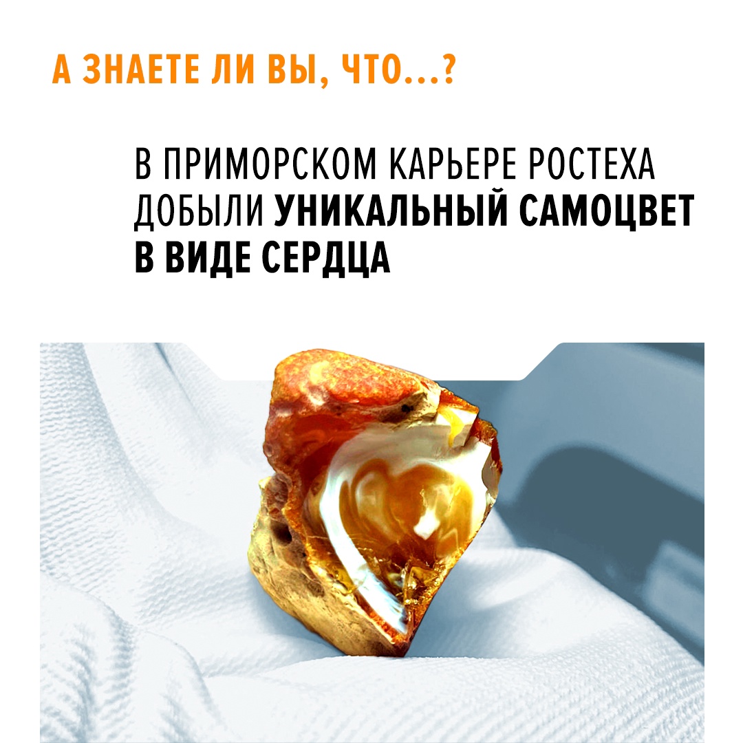 Редкая находка обнаружена во время ручной сортировки на Калининградском янтарном комбинате Ростеха. Вес камня — всего 19,42 грамма, а его размеры — 4 на 3 см.