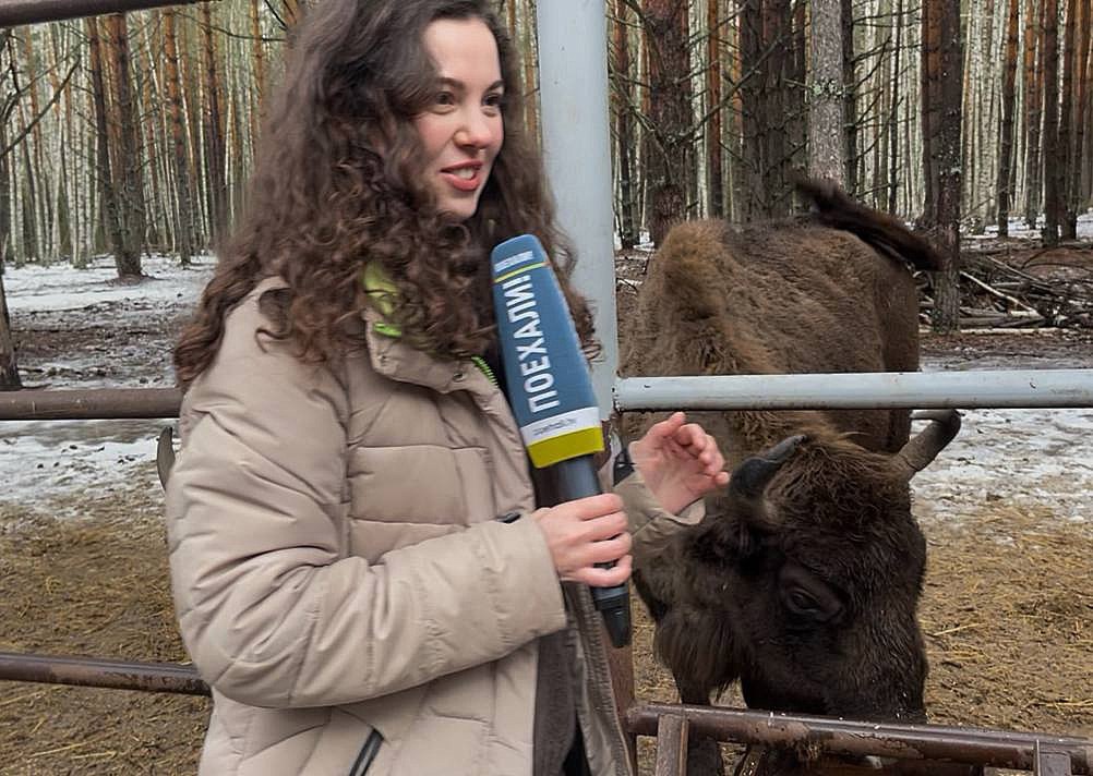 «Транснефть» 10 лет успешно реализует проект по восстановлению поголовья европейского зубра