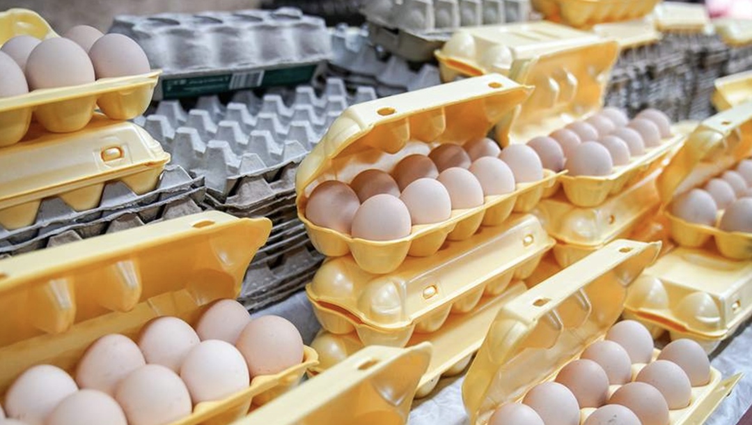 На 7 марта Россия сократила импорт пищевого куриного яйца почти в 1,2 раза: с начала года ввезено 144,2 млн штук, за аналогичный период прошлого года поступило…
