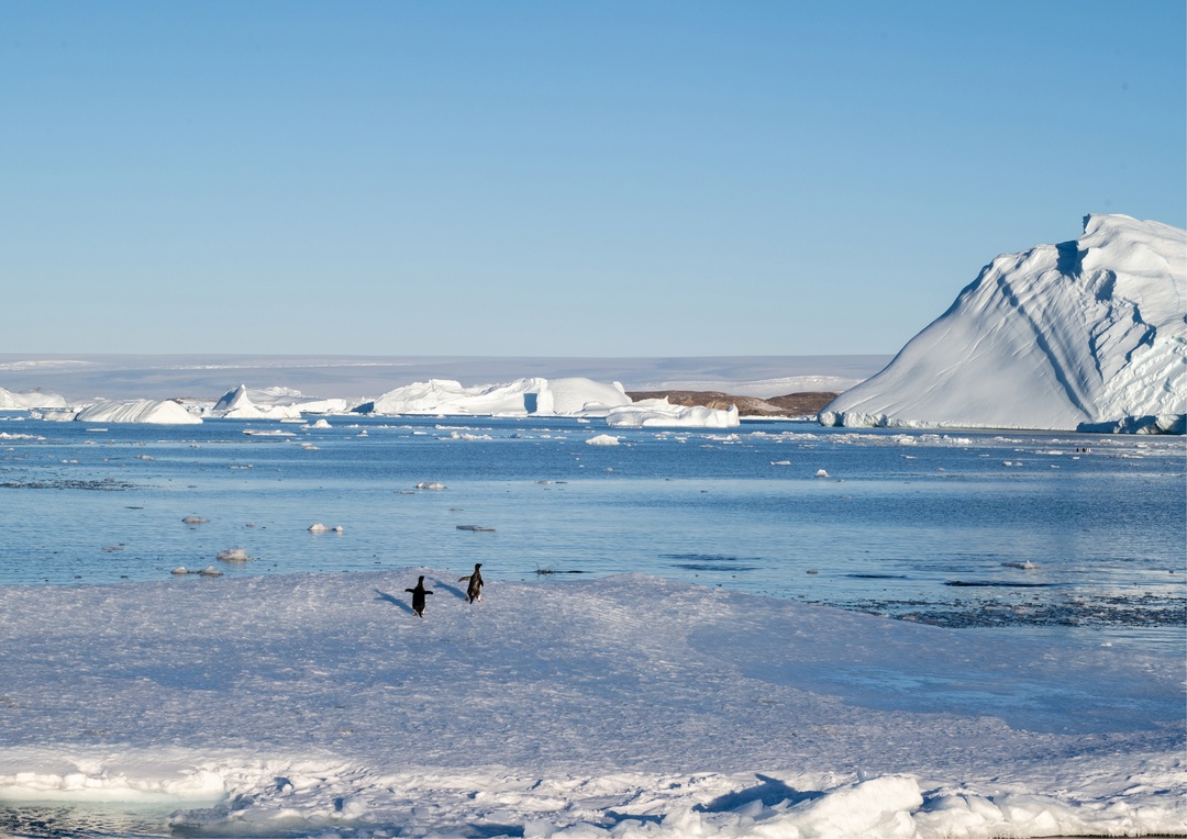 Нормально, «Василий»? Отлично, Константин!