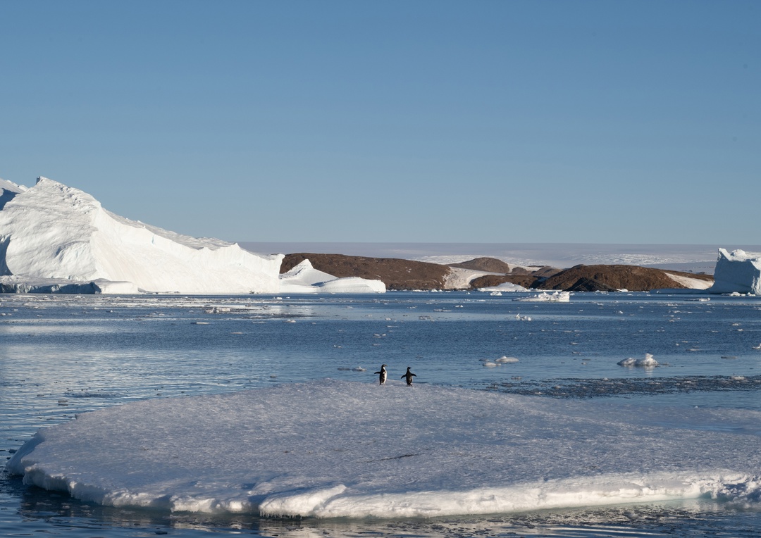 Нормально, «Василий»? Отлично, Константин!