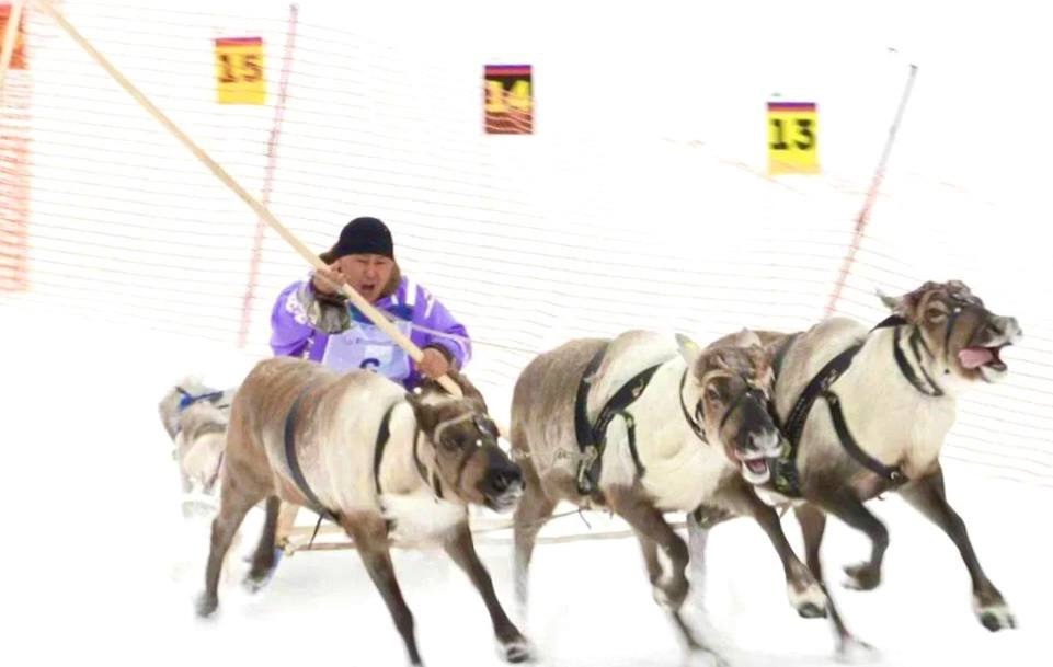 Полный привод и две оленьи силы ЛУКОЙЛ поддержал традиционные гонки в рамках конкурса профмастерства оленеводов Югры.
