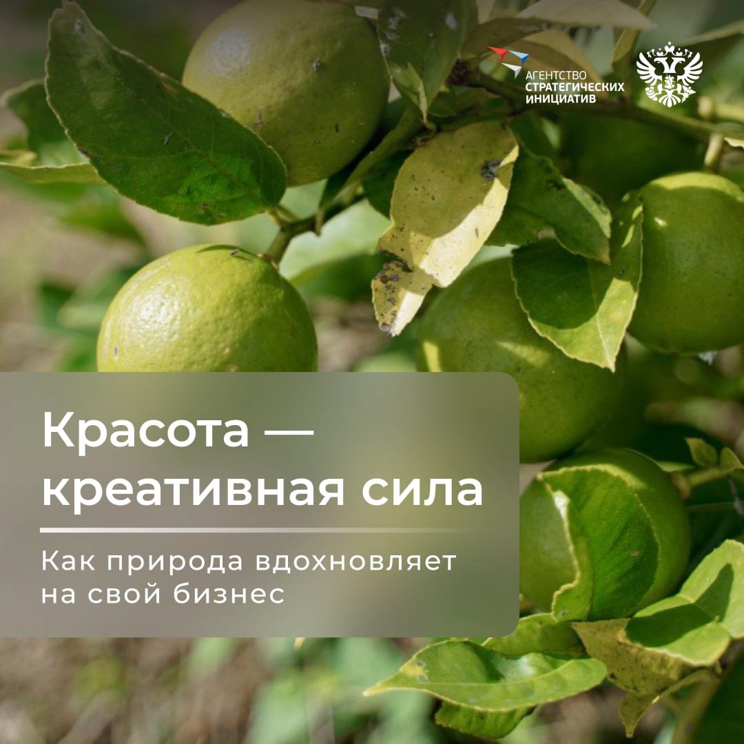 Природа — лучший дизайнер, архитектор, музыкант и художник, а ещё… специалист по сохранению красоты. И бизнес активно у неё этому учится