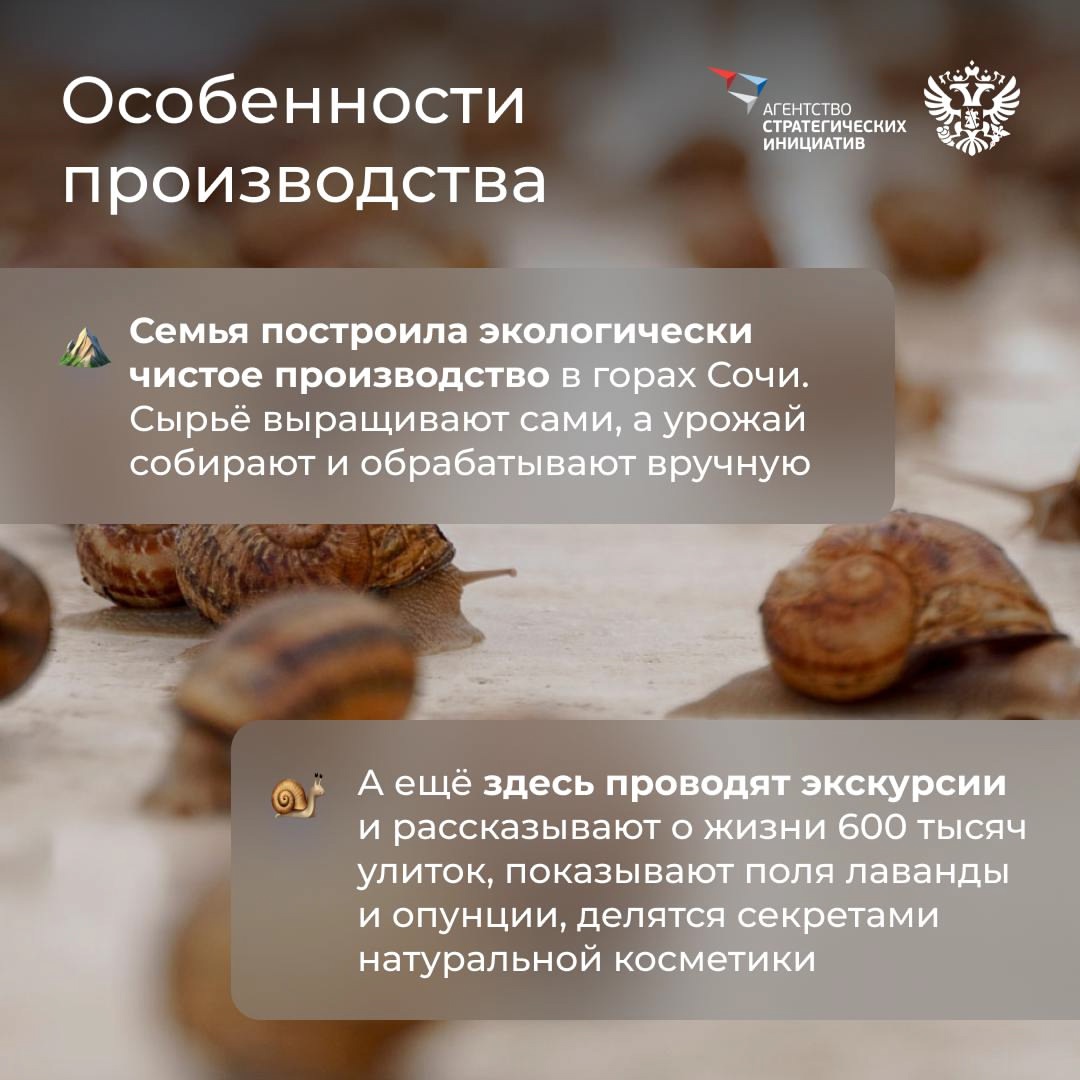 Природа — лучший дизайнер, архитектор, музыкант и художник, а ещё… специалист по сохранению красоты. И бизнес активно у неё этому учится