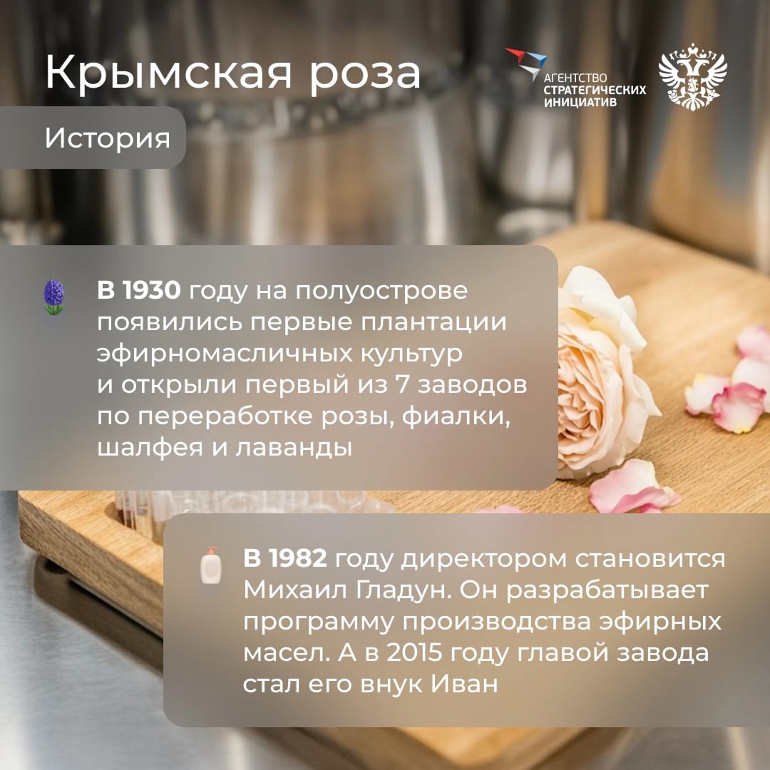 Природа — лучший дизайнер, архитектор, музыкант и художник, а ещё… специалист по сохранению красоты. И бизнес активно у неё этому учится