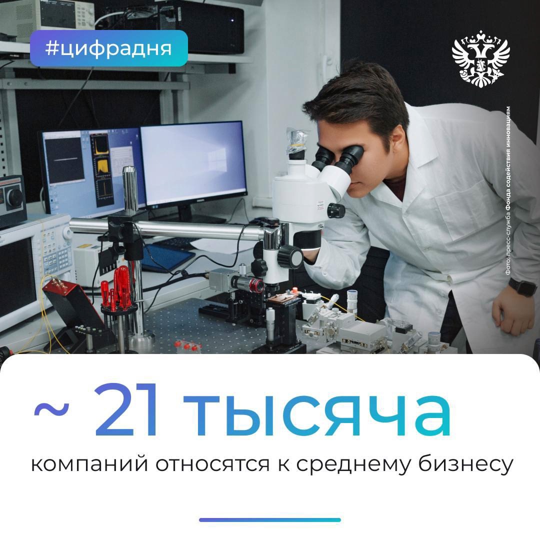 Представьте городок, в котором каждый житель — это МСП. А нам и представлять не нужно — мы сами подсчитали такое число