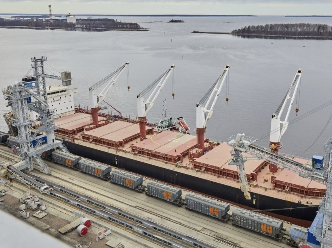 Иностранная сельскохозяйственная служба Минсельхоза США (FAS USDA) в своем обзоре за март понизила прогноз экспорта пшеницы из России на 500 тыс. т, до 45 млн…