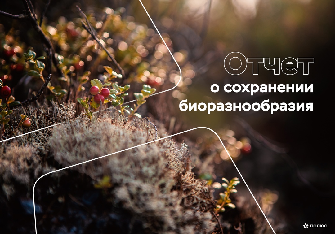 «Полюс» опубликовал первый отчет о сохранении биоразнообразия!