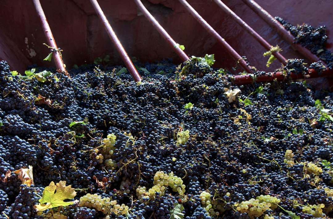 Минфин рассмотрит возможность продления налогового вычета за переработку винограда, сообщило ведомство со ссылкой на заместителя министра финансов Алексея…