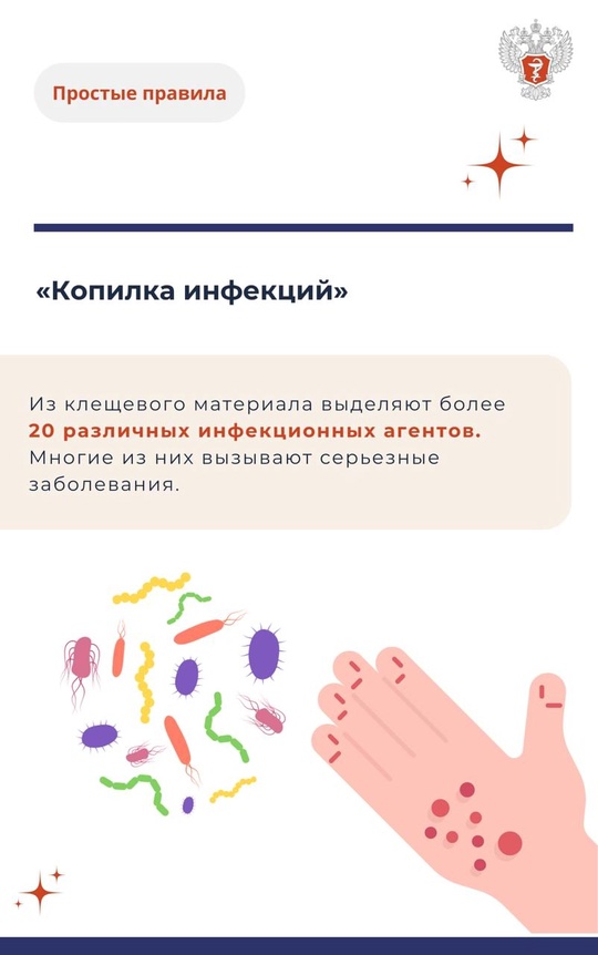 #ПростыеПравила: Укус клеща и его последствия