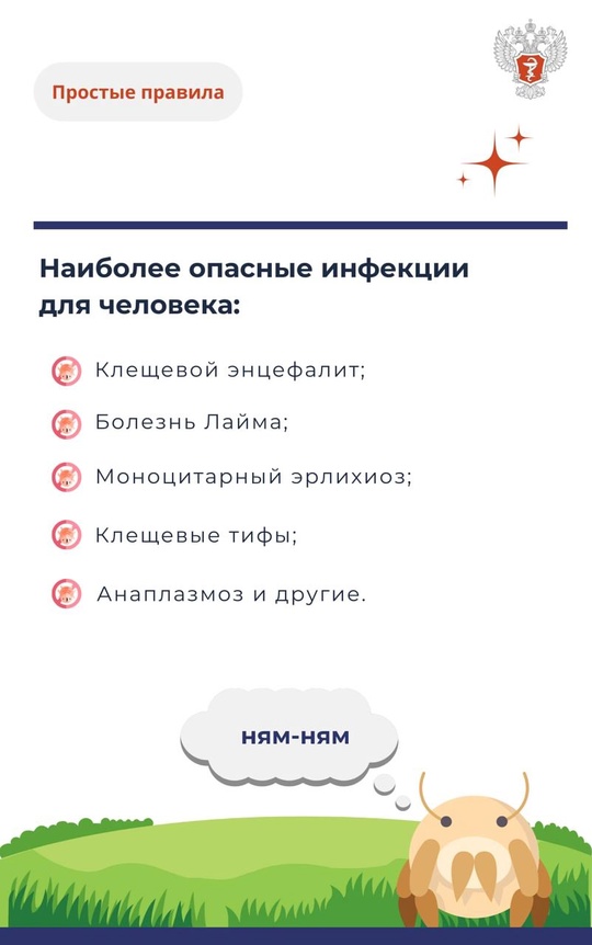#ПростыеПравила: Укус клеща и его последствия