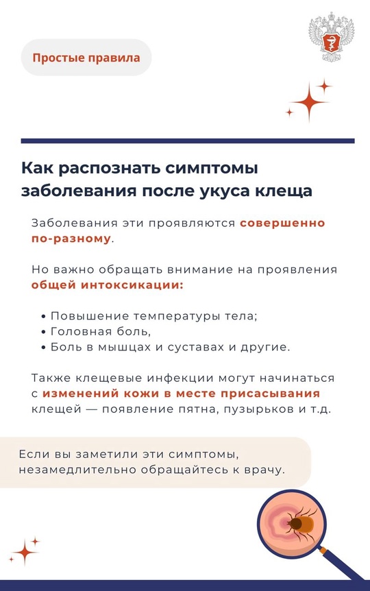 #ПростыеПравила: Укус клеща и его последствия