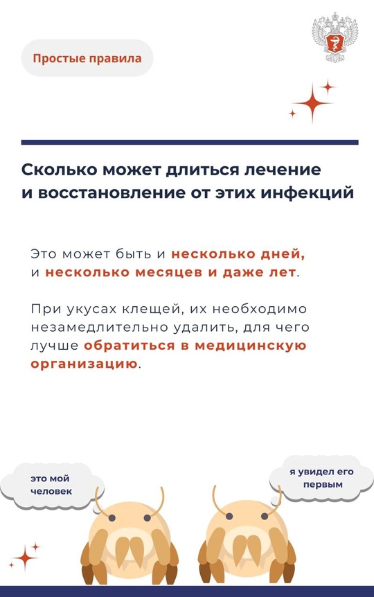 #ПростыеПравила: Укус клеща и его последствия