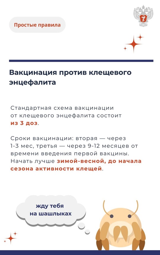 #ПростыеПравила: Укус клеща и его последствия