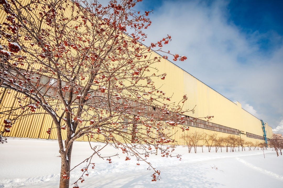 Весна: мир просыпается, а ты? Еще земли печален вид, А воздух уж весною дышит, И мертвый в поле стебль колышет, И елей ветви шевелит.