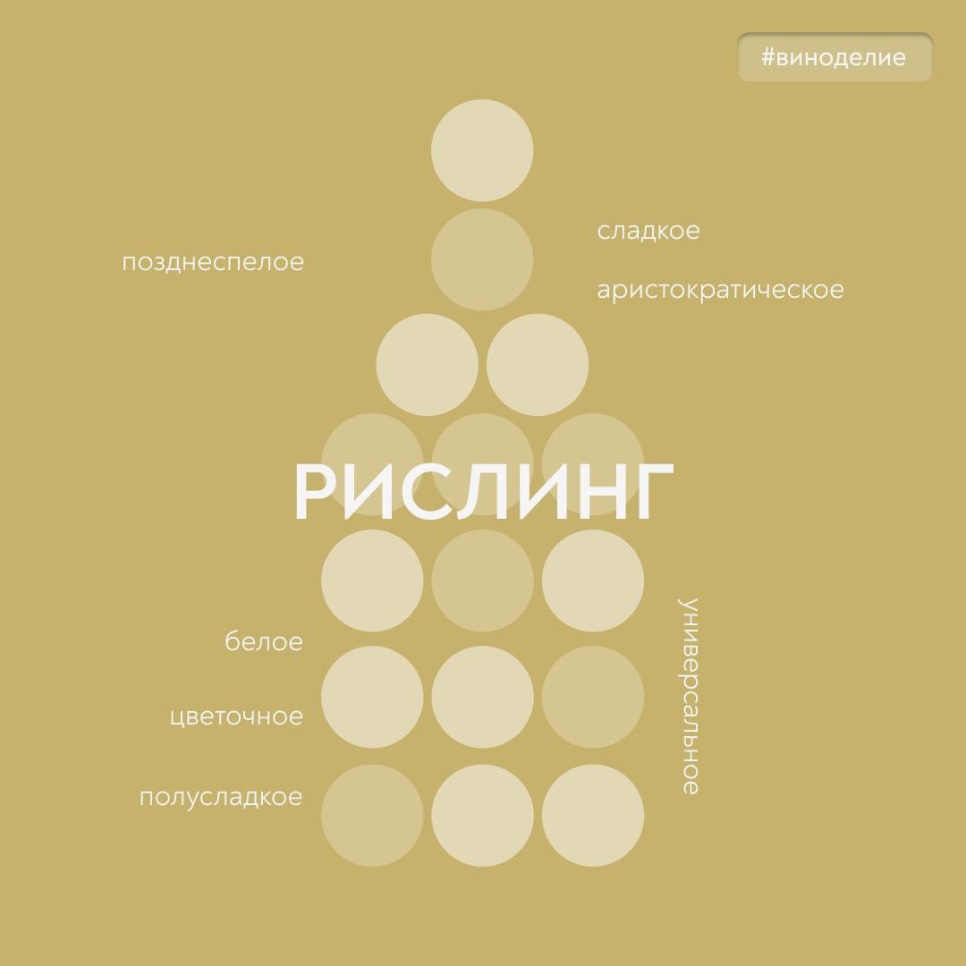 Для настоящих ценителей Возвышенный и строгий Рислинг – первый претендент на звание самого аристократичного вина.