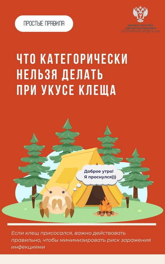 #ПростыеПравила: Что категорически нельзя делать при укусе клеща