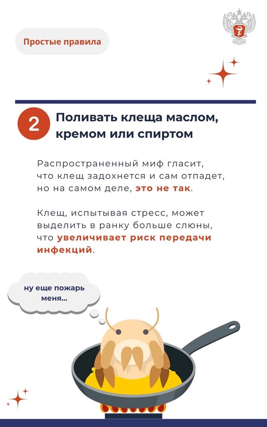 #ПростыеПравила: Что категорически нельзя делать при укусе клеща