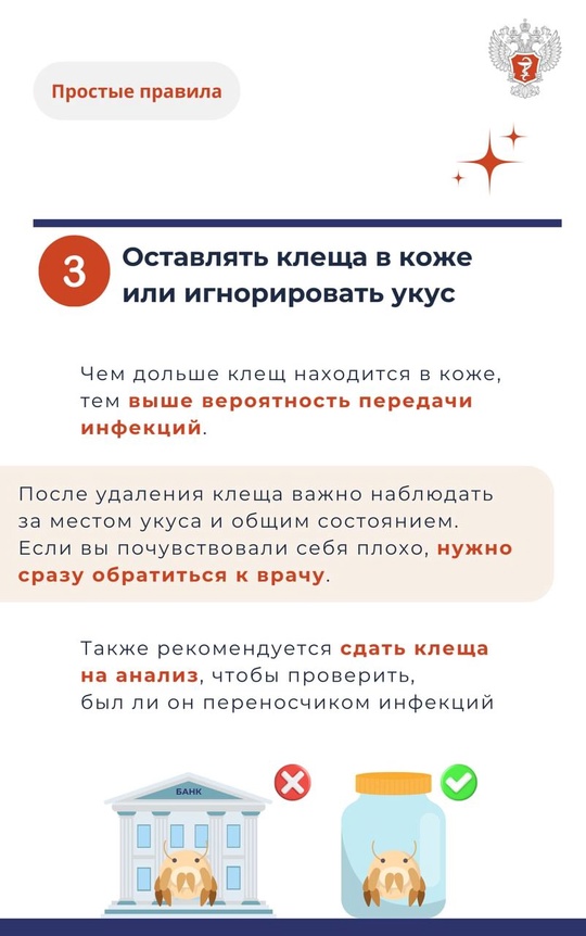 #ПростыеПравила: Что категорически нельзя делать при укусе клеща