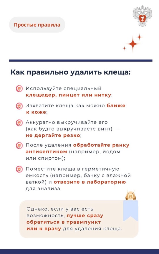 #ПростыеПравила: Что категорически нельзя делать при укусе клеща