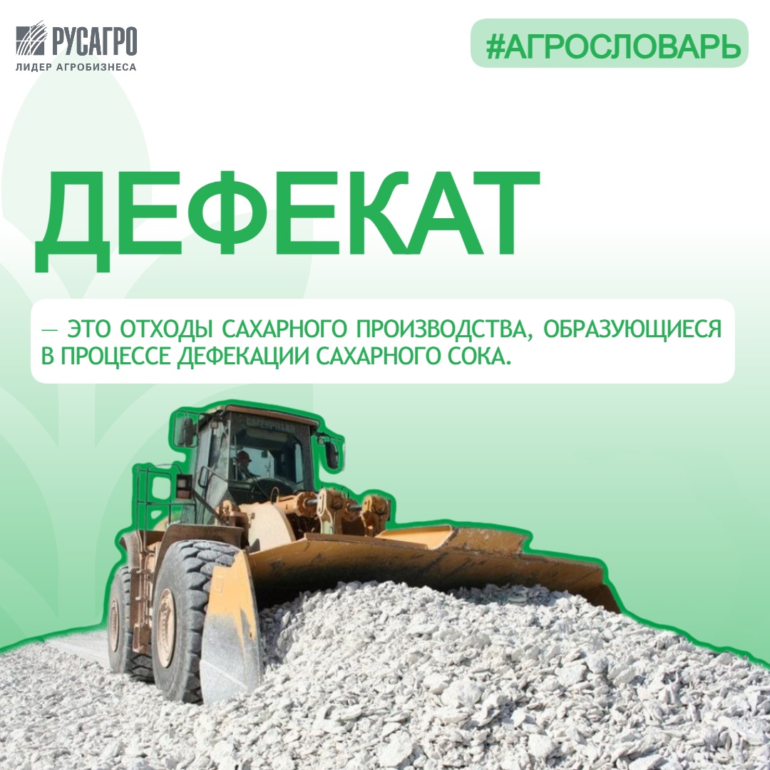 Знаете ли вы, что побочный продукт, образующийся при переработке сахарной свеклы, может стать настоящим сокровищем для сельского хозяйства
