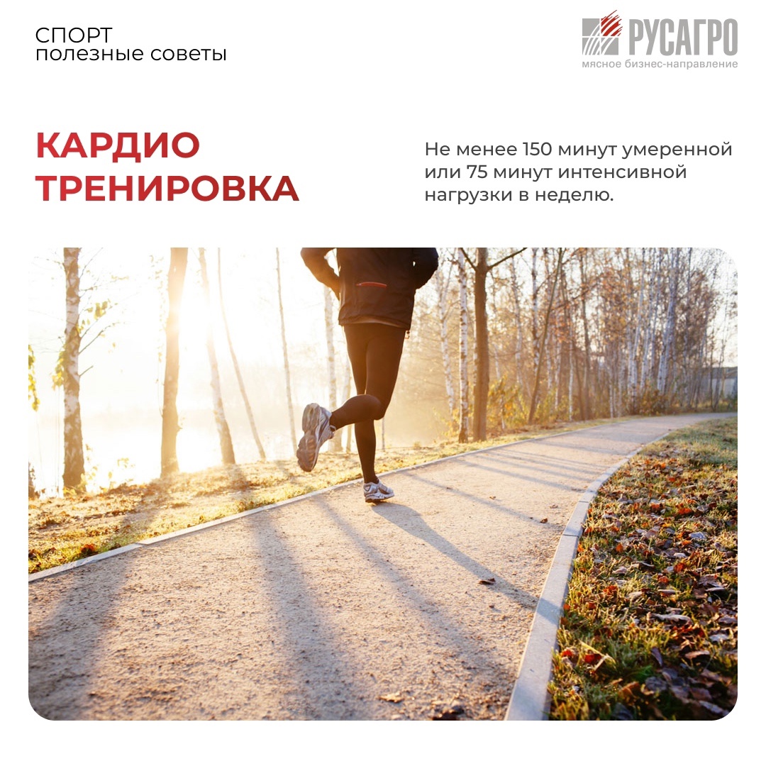 СПОРТ: ПОЛЕЗНЫЕ СОВЕТЫ Сколько нужно тренироваться, чтобы был прогресс