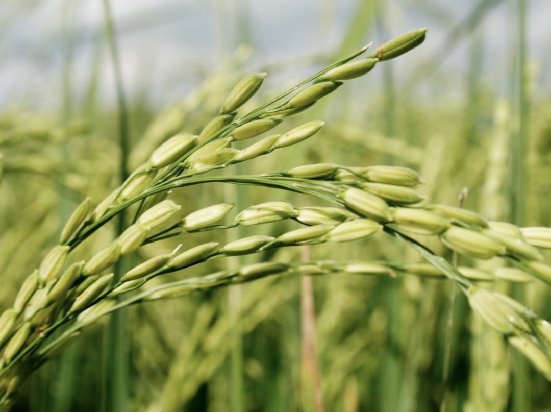 Самое интересное за неделю с 10 по 16 марта