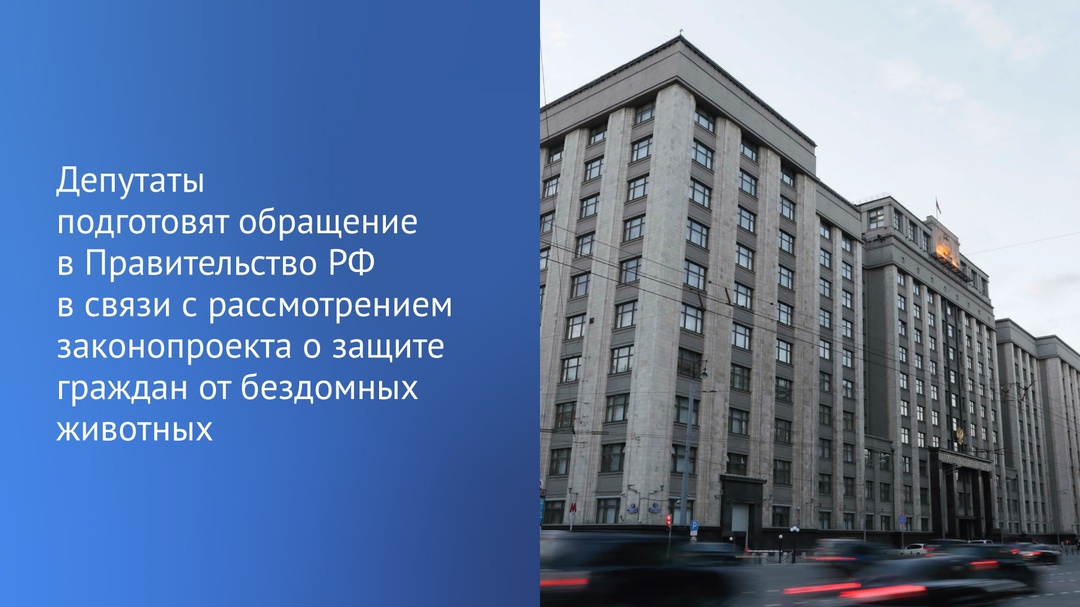 Совет ГД принял решение подготовить обращение в Правительство РФ в связи с рассмотрением законопроекта о защите граждан от нападений бездомных животных.
