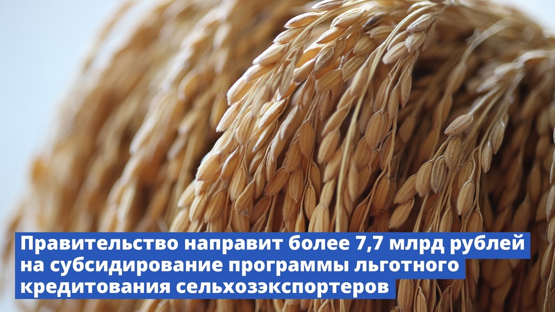 Правительство направит более 7,7 млрд рублей на субсидирование программы льготного кредитования сельхозэкспортеров