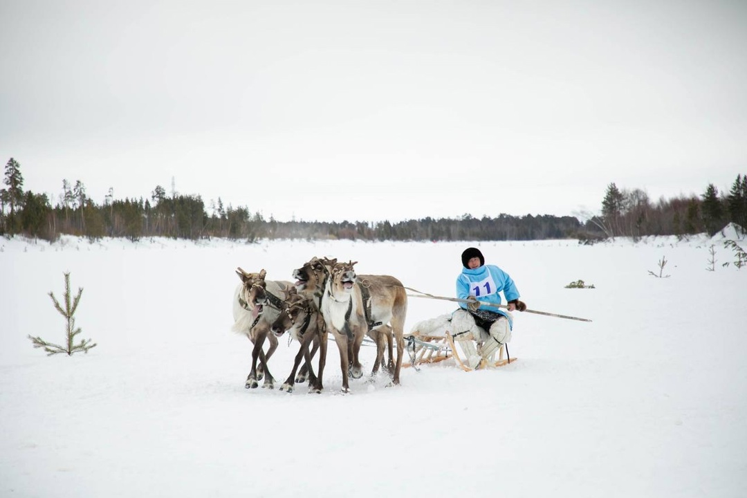 Этнофестиваль народа ханты Гостеприимная Югра встречает туристов. Главное развлечение сезона — соревнования оленеводов, которые проходят при поддержке ЛУКОЙЛа.