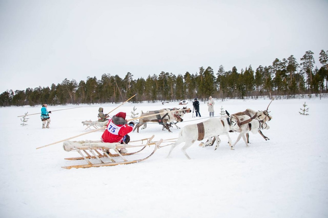 Этнофестиваль народа ханты Гостеприимная Югра встречает туристов. Главное развлечение сезона — соревнования оленеводов, которые проходят при поддержке ЛУКОЙЛа.