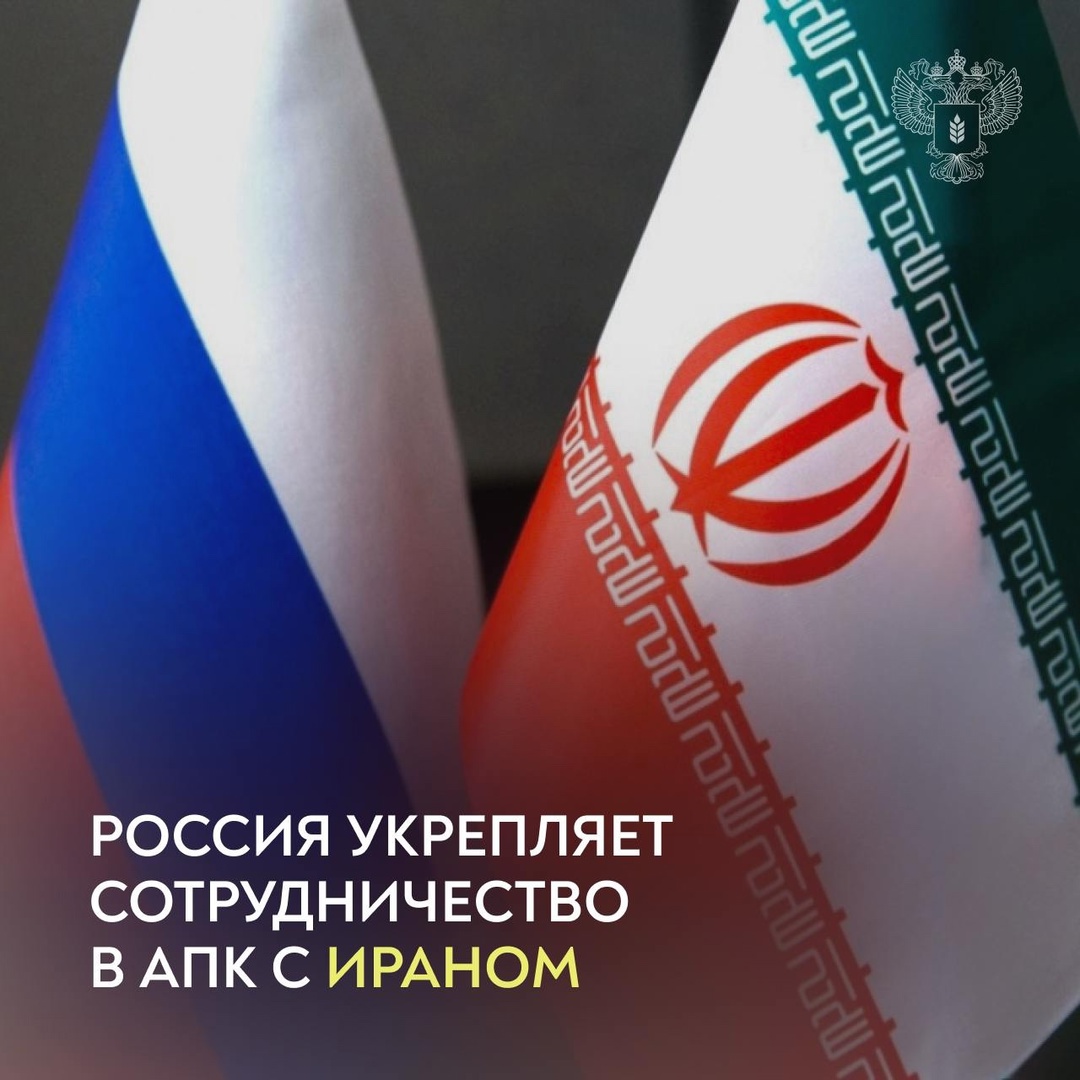 Главы аграрных ведомств России и Ирана Оксана Лут и Голамрез Нури Гезельдже обсудили перспективы развития взаимодействия в АПК.