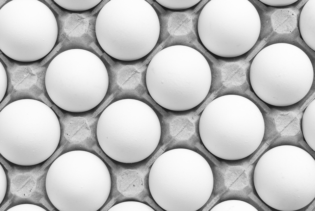 Агрокомплекс «Оредеж», одна из крупнейших птицефабрик Ленинградской области, в 2025 году приступит к строительству новых производственных площадок