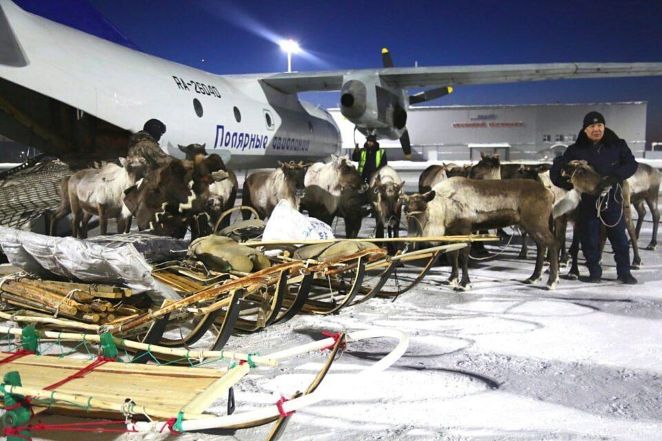 АЛРОСА подарит вахтовый автомобиль "Урал" команде-победителю соревнований среди оленеводов в Якутске