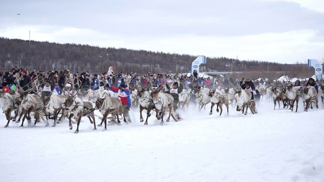 АЛРОСА подарит вахтовый автомобиль "Урал" команде-победителю соревнований среди оленеводов в Якутске