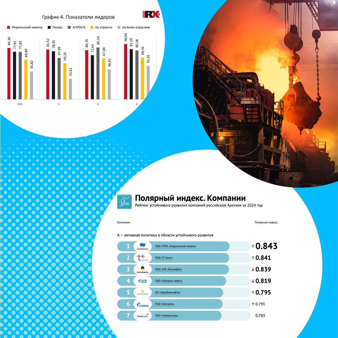 Как проекты «Норникеля» приближают устойчивое будущее