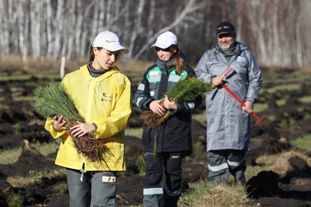 Большие шаги к зелёному будущему В 2024 году «Башнефть» вложила в природоохранные проекты 9,5 млрд руб