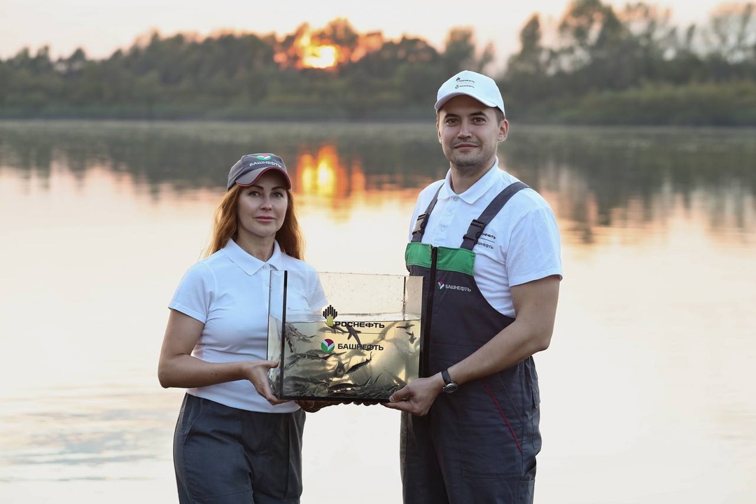 Большие шаги к зелёному будущему В 2024 году «Башнефть» вложила в природоохранные проекты 9,5 млрд руб