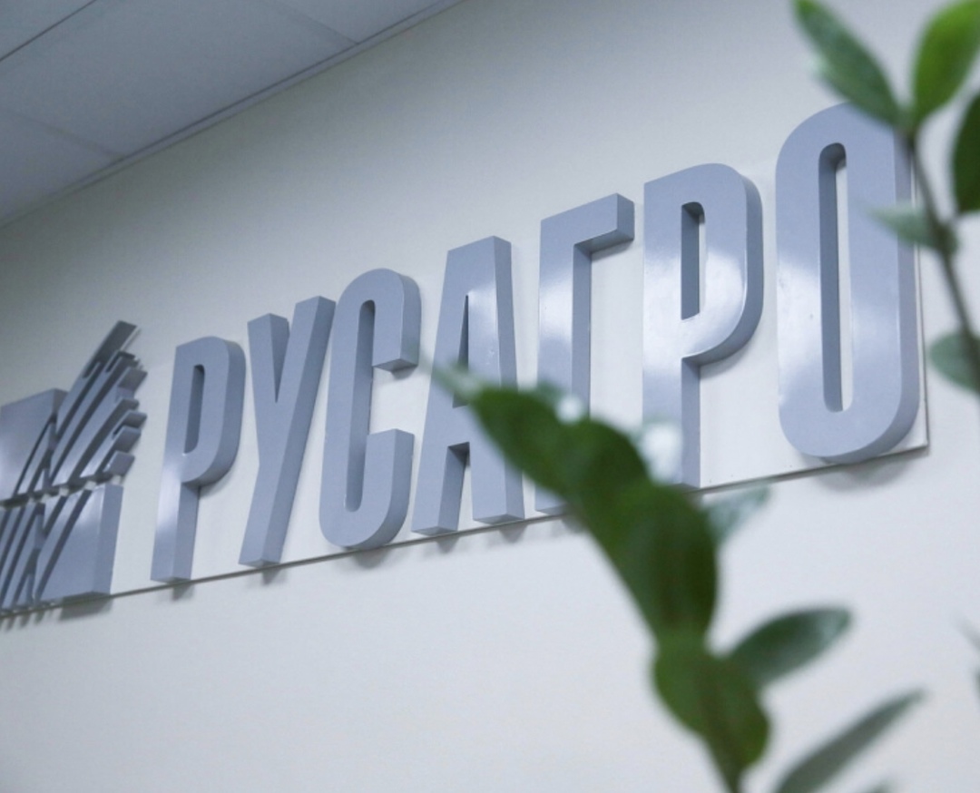 Капзатраты группы «Русагро» на реализацию инвестпроектов в прошлом году составили почти 30 млрд руб. против 18,4 млрд руб. в 2023-м