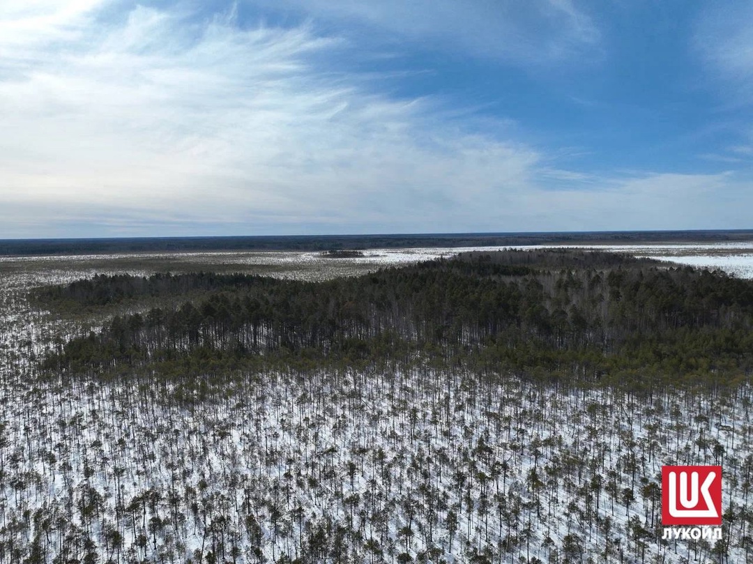 Новый проект ЛУКОЙЛа в Западной Сибири
