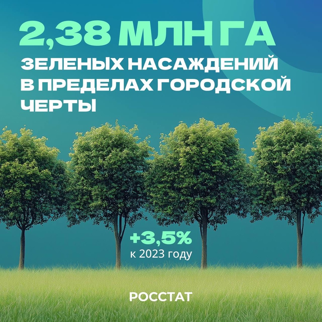 Более 2,3 миллиона гектаров - общая площадь зеленых насаждений в пределах городской черты.