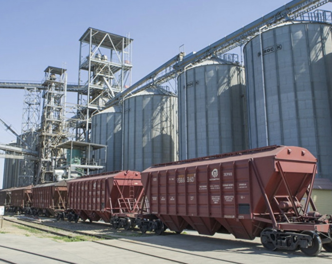 С 19 марта Турция смягчила ограничения на импорт пшеницы для производства муки на экспорт, сообщает Reuters со ссылкой на Федерацию турецких мукомолов.…