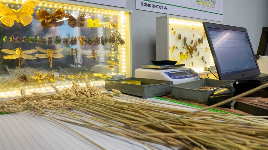 Растениеводческое предприятие «Рассвет» и Башкирский государственный аграрный университет (БашГАУ) на базе Межвузовского кампуса Евразийского НОЦ открыли…