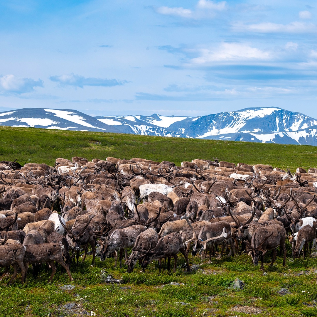 «Про такие места легко рассказывать — они сами напевают мотив», — сказал один из путешественников, побывавший на Полярном Урале